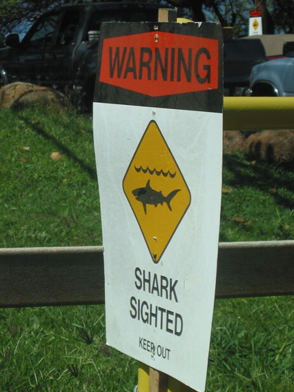 shark sighted sign